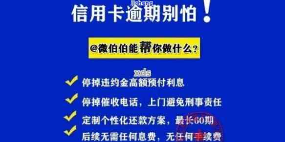 新信用卡逾期条款有哪些，全面解析：新信用卡逾期条款一览