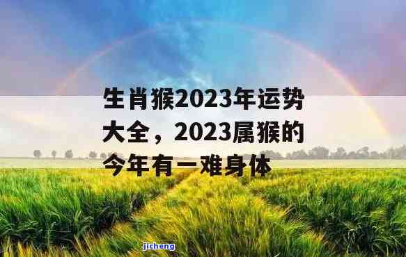 大理沱茶是什么茶？口感怎样？属于生茶还是熟茶？怎样冲泡？价格多少？哪年的熟茶更佳？庆70周年特别推荐！