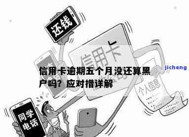 信用卡逾期是黑户吗？解决方案全解析