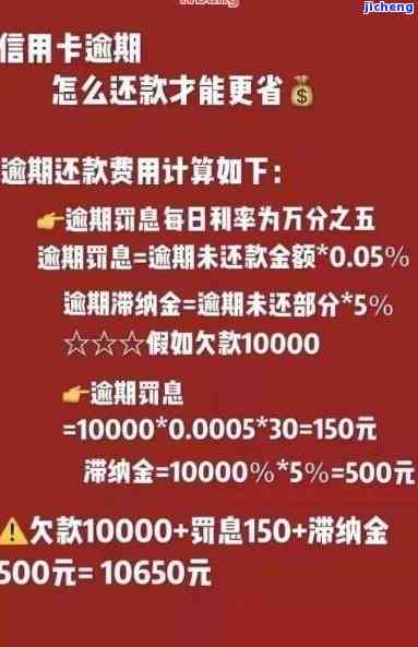 信用卡逾期12月如何计算利息？详细步骤解析