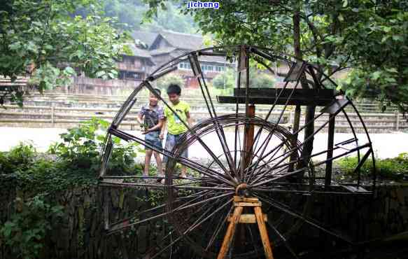 玉打灯有棉絮，玉打灯观察：揭秘其中的棉絮现象