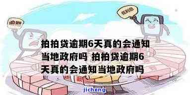 拍拍贷逾期6天真的会通知当地吗，真相揭示：拍拍贷逾期6天是否真的会通知当地？