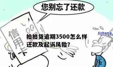 拍拍贷逾期会被起诉吗真还不上怎么办，遭遇拍拍贷逾期，被起诉风险高？无法偿还怎么办？