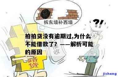 拍拍贷无逾期为何被拒？影响及解决办法