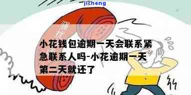 小花钱包逾期一天就联系亲朋,很讨厌，小花钱包：逾期一天即联系亲朋，惹人厌烦