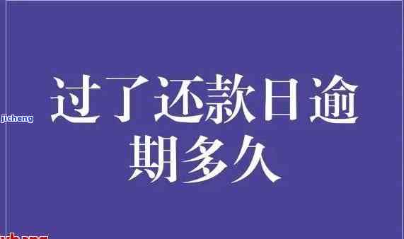 一天还款，不要错过最后期限！一天还款可能会导致严重后果