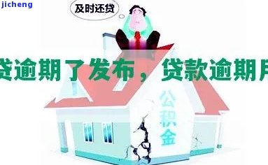 宜人贷逾期名单查询系统，查询宜人贷逾期名单，一键获取最新信息！