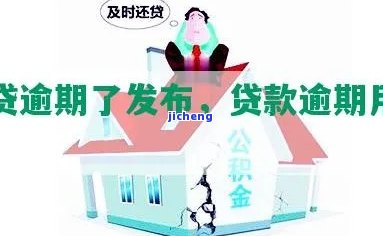 宜人贷海南小贷逾期处理方式及公告