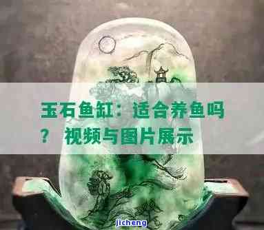 白玉石适合养鱼吗，探究白玉石是不是适合养鱼：你需要知道的一切