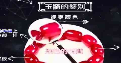 红玉髓有白点，探究红玉髓中的白点：可能的起因与作用