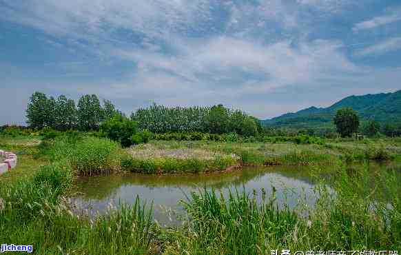 周至田峪河湿地公园，探索自然之美：周至田峪河湿地公园一日游