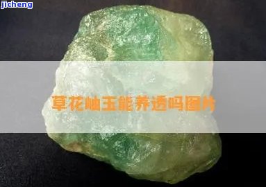 岫玉水草料的价值与透明度解析