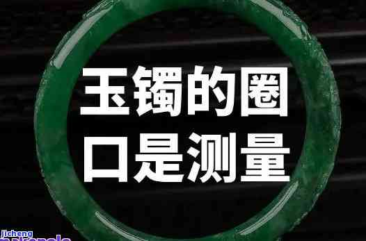 你喜欢喝什么茶它属于哪一类你是怎样冲泡的，探索你的口味：你喜欢喝什么茶？它是属于哪一类，又是怎样冲泡的呢？