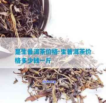 什么茶是糯米香味道，探寻特别口感：揭秘什么是糯米香味道的茶？