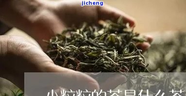 四大名茶叫什么-四大名茶叫什么名字