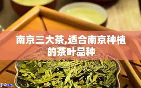 九寸土茶杯价格-九寸土茶杯价格多少