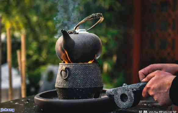 冬天煮什么茶好-冬天煮什么茶好喝