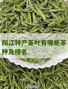 阳哪里有喝的茶叶？推荐几种最受欢迎的阳茶