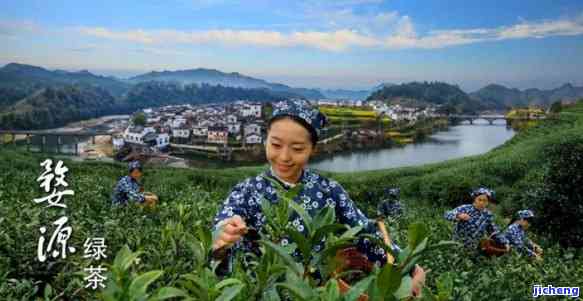 婺源什么茶-婺源什么茶喝