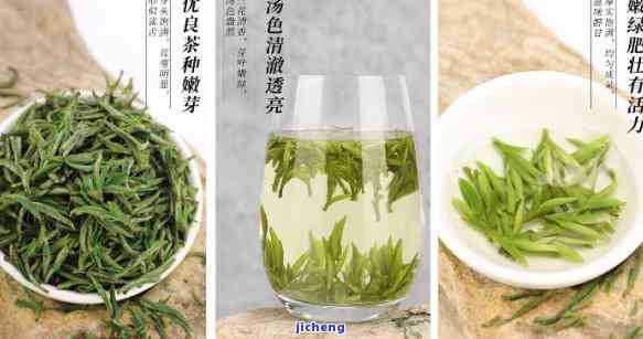 什么茶比较好喝？推荐几款口感不错的茶叶