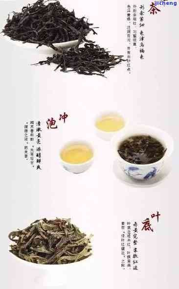 潮汕茶是什么茶叶，「探秘」潮汕茶：这是什么茶叶？