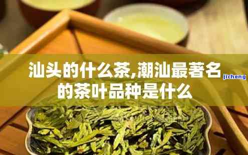 潮汕茶是什么茶-潮汕单丛茶是什么茶类