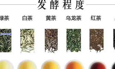 什么茶是凉性？什么茶是热性？详解各类茶叶属性