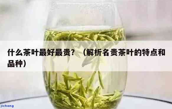 什么茶最贵喝，探寻茶叶世界：揭秘最贵喝的茶叶品种