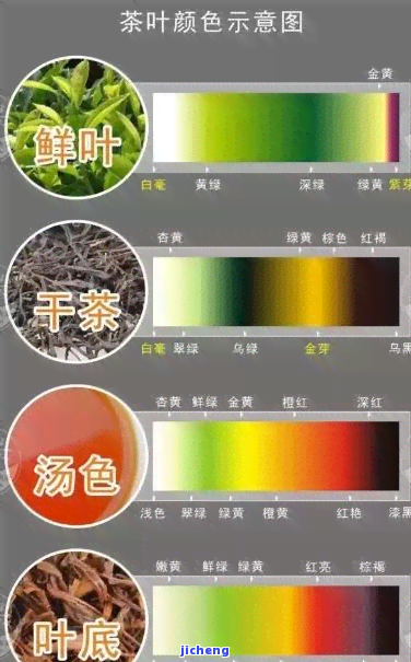 什么茶是色的茶，揭秘色茶叶：你所不知道的茶世界新品种