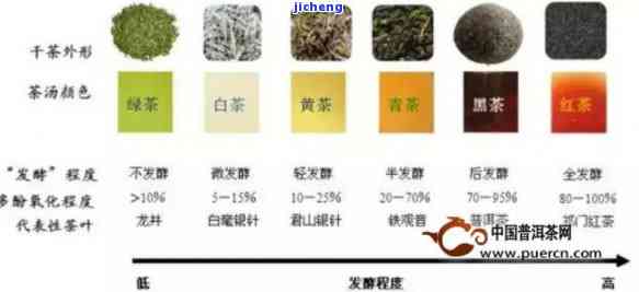 什么茶是暖性的茶？详解各类暖性茶叶特性与区别