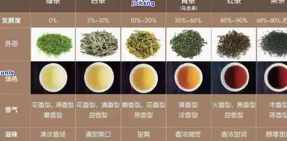 什么茶是暖性的茶？详解各类暖性茶叶特性与区别