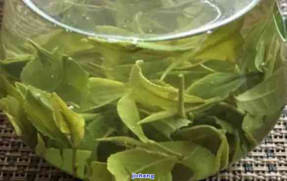 崂山扁茶是什么茶？价格多少一斤？属于哪种茶类？