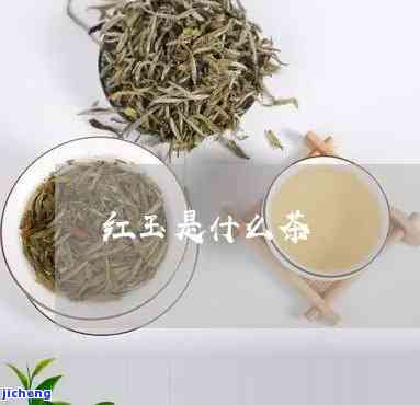 红玉茶：什么茶种？种类及图片全解析