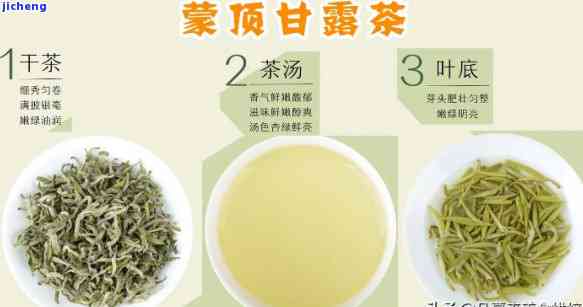 暖胃的茶叶都有什么茶？揭秘十大最暖胃的茶品种名