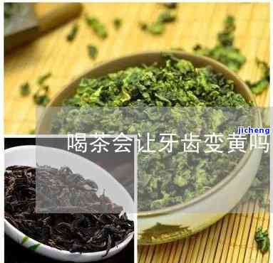 黄大牙是什么茶-黄大牙是什么茶类