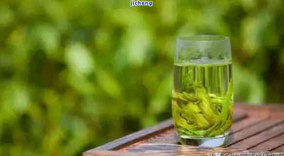 清风茶是什么品种，探秘茶叶世界：熟悉“清风茶”这一品种