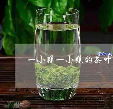 小山中是什么茶-小山中是什么茶叶