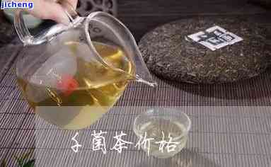 千菌茶是什么茶-千菌茶是什么茶叶做的