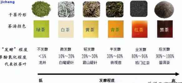 觅茶属于什么茶系列？熟悉其产品归属及分类