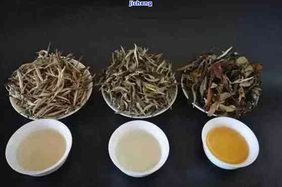 白雾茶：究竟属于哪一类茶？