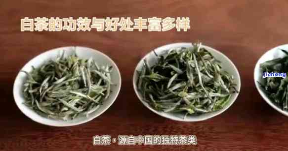 白雾茶：究竟属于哪一类茶？