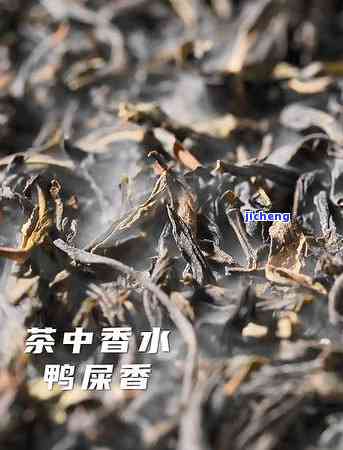 喝什么茶去火效果比较好，消暑神器！揭秘哪些茶叶去火效果？