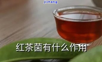 红茶菌治哪些病效果？全解析