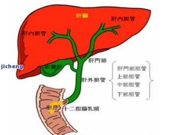 红茶能治什么病？图片与喝法全揭秘