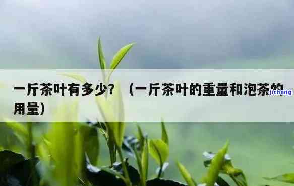 一公斤茶有多少-一公斤茶有多少图片