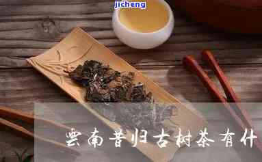 昔归普洱的作用-昔归普洱茶的功效