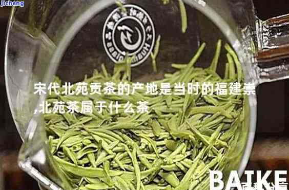 北苑贡茶属于什么茶类？详解《北苑贡茶录》中所述