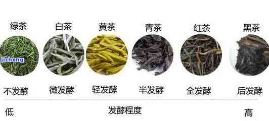 西方的茶有哪些种类？了解各类茶叶及其图片