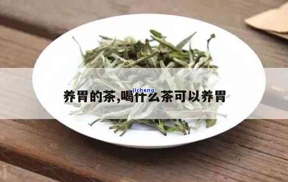 胃养胃的茶叶有哪些？推荐几种效果好的品种