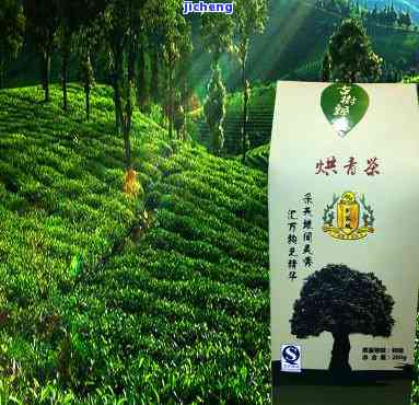 昔归茶山烧茶叶-昔归茶农烧茶